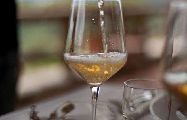 Agriturismo La Burlanda - Foto 29