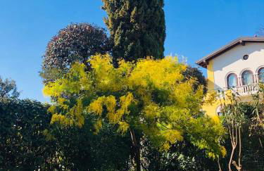 Casa Mimosa - Photo 1