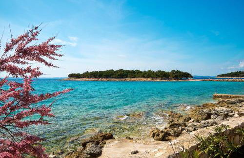 Sun Spalato Villa Cikas - Foto 58