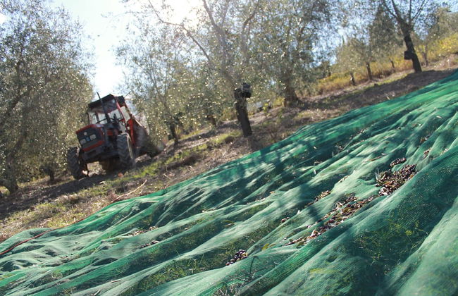 Agriturismo Il Poderuccio - Foto 36
