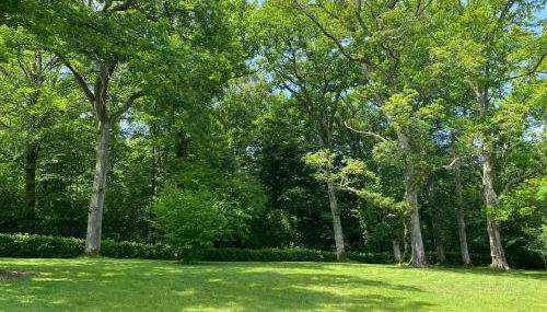 Séjour sur les coteaux - Foto 4