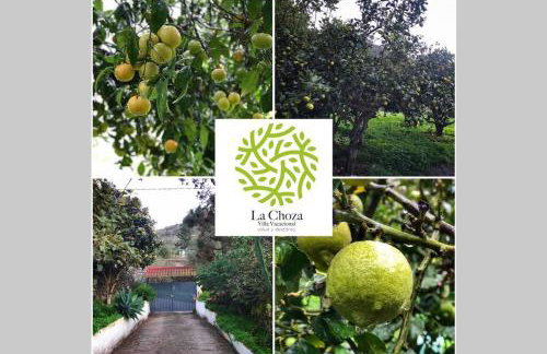 LA CHOZA VILLA VACACIONAL - Foto 47