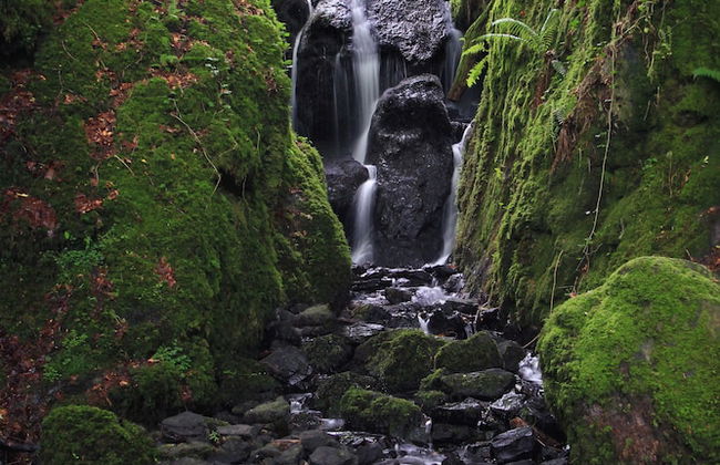 Dartmoor Reach Alpaca Farm - Foto 69