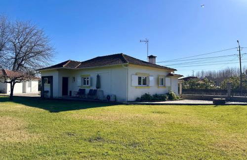 T3 Cozy Old House with XL garden - Foto 11