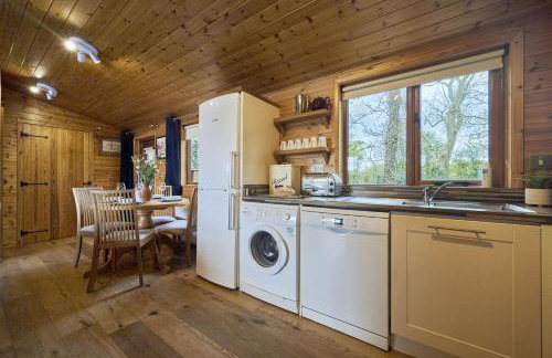 Buzzard Lodge with Hot-tub - Foto 18