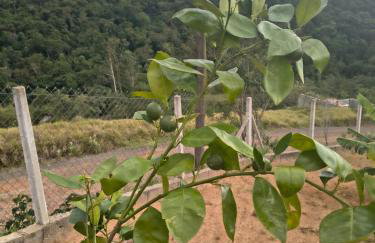 Rancho do andi - Foto 9