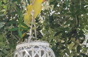 Residence Bellaria - Foto 22