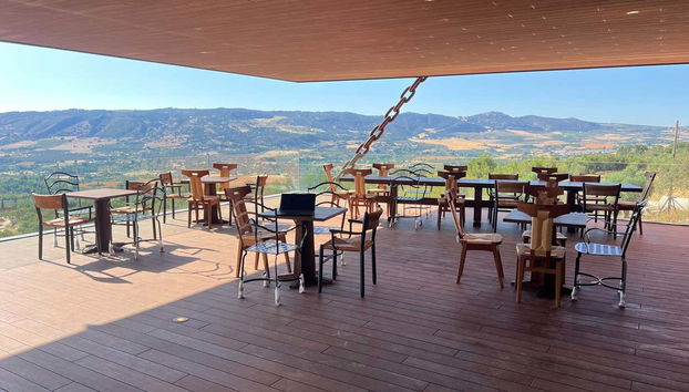 Aprenderéis a detectar los diversos matices del aceite de oliva