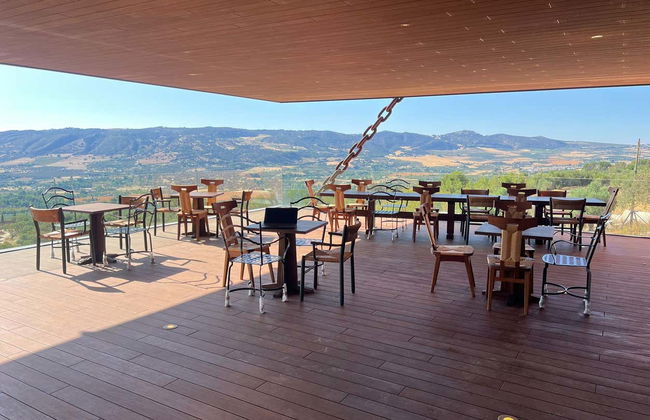 Visita a la finca LA Almazara con cata de aceites - Foto 4