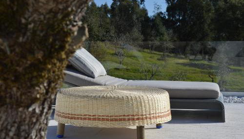 Ouzenda do Zêzere - Foto 4, Garden