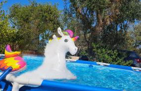 Tenuta Le Chiuse - Un'oasi di pace a un passo dal mare - Foto 8