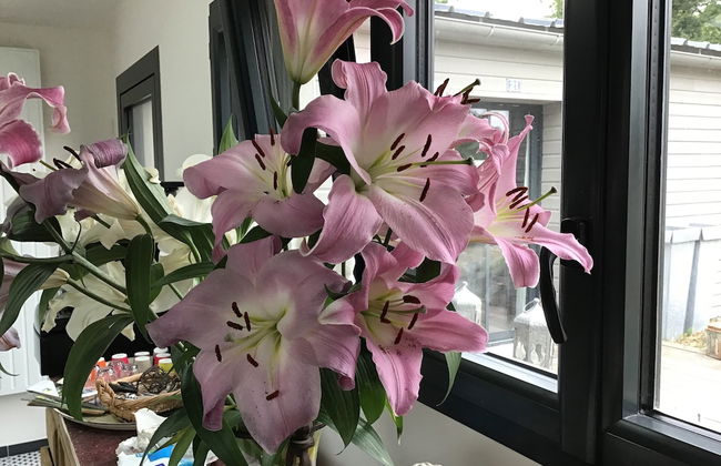 La Guinière Chambres D'hôtes - Foto 14