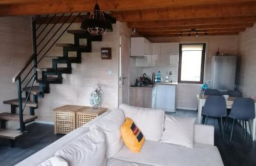 Domki pod lasem w Wojtkowej - Foto 28