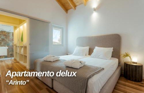 Alojamentos Plansel - No Coração das Vinhas do Alentejo - Foto 11