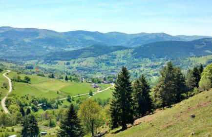 Appartement chaleureux à Soultzeren avec vue sur montagne - Foto 22