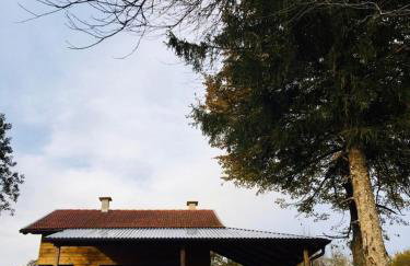 Evergreen house Plitvice - Foto 33