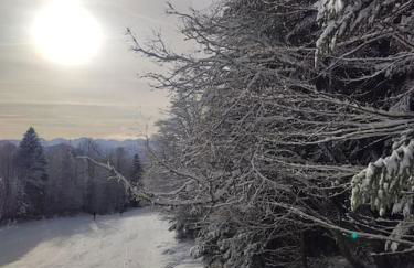 La Feclaz - Duplex 90m2 au pied des pistes - Foto 38