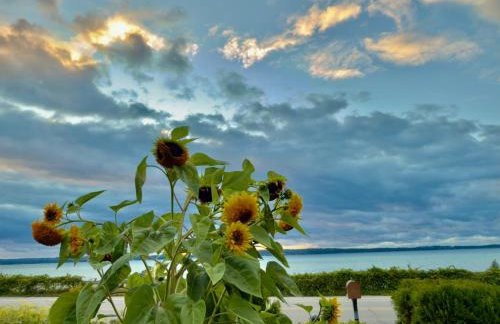 Blū House - Foto 30