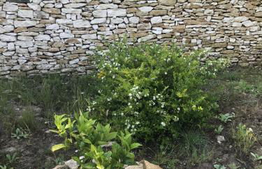 Mini-villas Célia à BONIFACIO - Foto 43