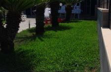 Villa Carol - Foto 42