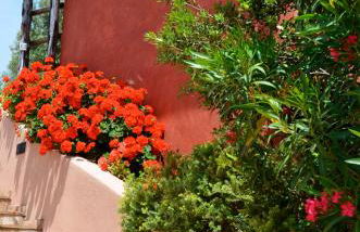 Tenuta Saracone - Foto 16