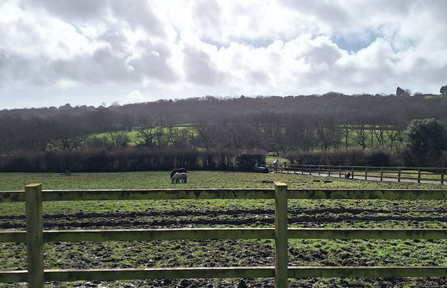 Countryside Cottage in Swansea Near Gower - Foto 4