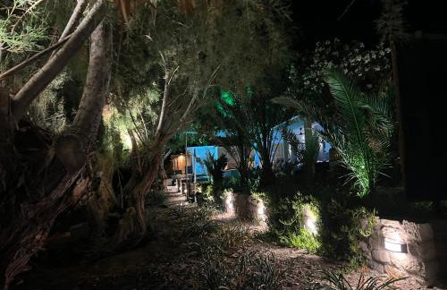 Nikkon Luxury Living - Foto 80