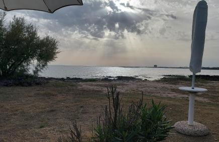 Le Strelizie - Foto 2