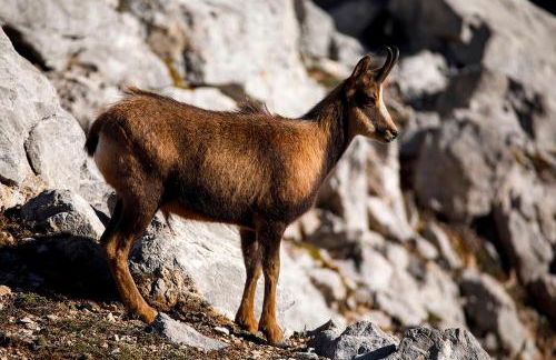 Apartamentos El Caxigu - Foto 33