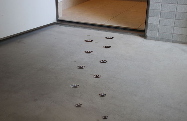 Coral Gate In Kume - Foto 25