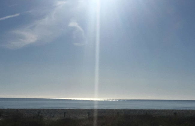 Sa Murta Bianca - Foto 24