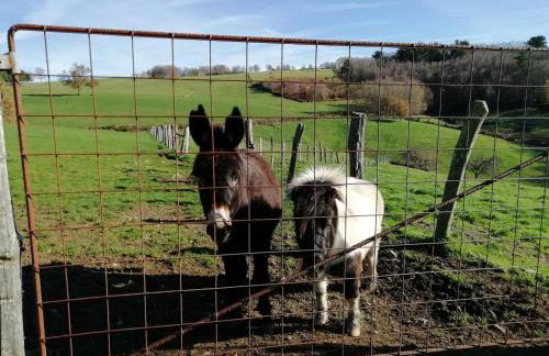 Apartamentos rurales Casa Do Cabo - Foto 13