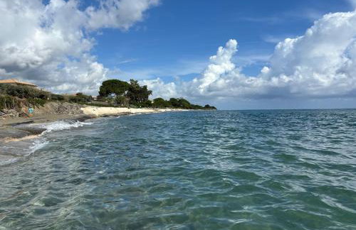 Bord De Mer, Commerces Rivière 15mn - Foto 28