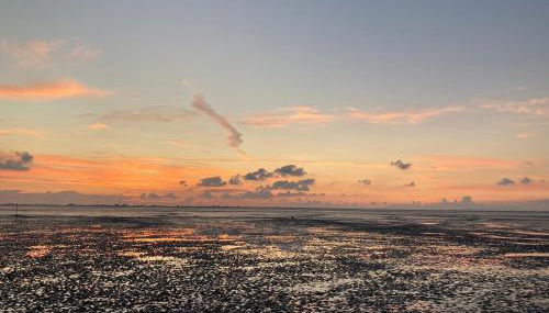 Gemütliche Wohnung mit Sonnenterrasse im blauen Holzhaus - Foto 4