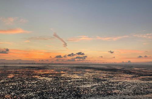 Gemütliche Wohnung mit Sonnenterrasse im blauen Holzhaus - Foto 4