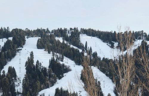 Bear Escapes II Affordable Luxury Cabin - Foto 40