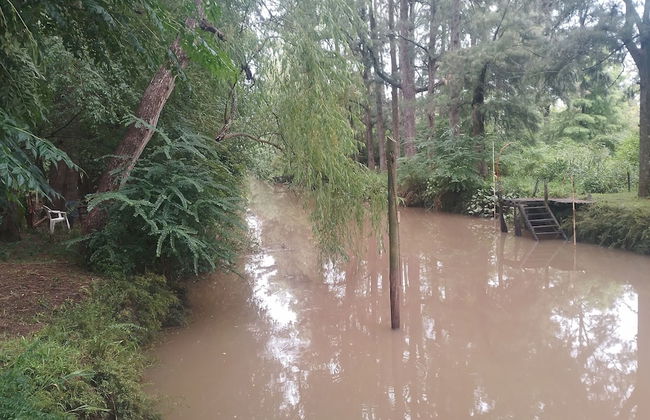 Cabaña del humedal - Foto 45