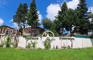 Ferienwohnung Aronia Garten - Foto 49