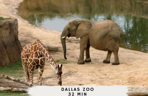 DFW Getaway - 4 Bedrooms Pool Oasis Media Room - Photo 48