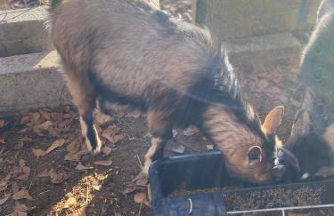 Serene Stay in North Carolina!! - Foto 37