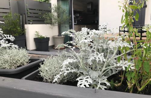 Maison de pêcheur 1900 - Foto 43