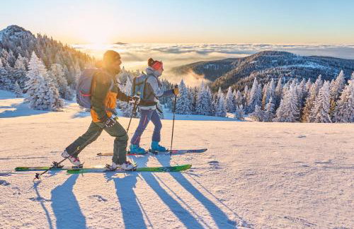 Landhaus Lerchenweg FeWo inkl aktivCARD - Foto 23