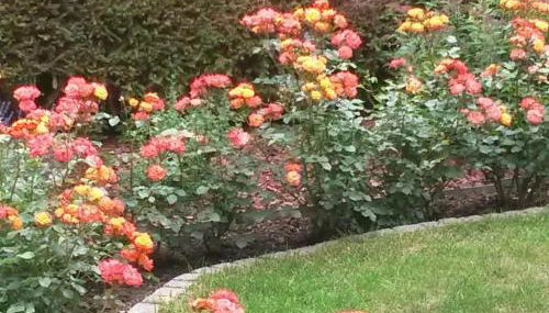 Apartment Ilse Herbert - Foto 5, Other