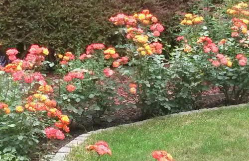 Apartment Ilse Herbert - Foto 5