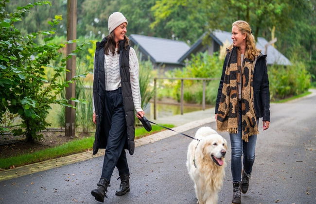 Eco Villa in Latour With Garden Sauna - Foto 26