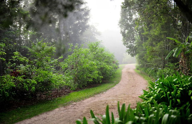 Sharlynn by the River - Foto 24