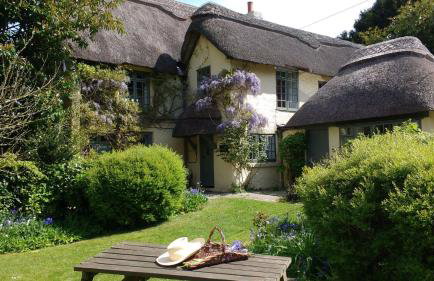 Beck Cottage, Wood Green, New Forest UK - Foto 35