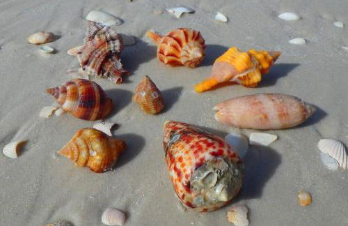 5* 3 BR 3 BA Home 4 min walk to beach & JW Marriott w/heated pool - Foto 45