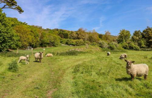 Lisle Combe Cottage - Photo 46