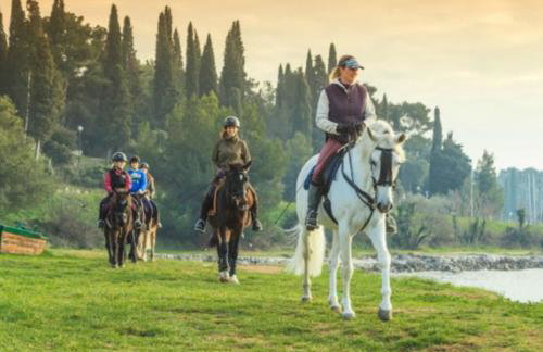 Excellent studio MIA - Foto 41